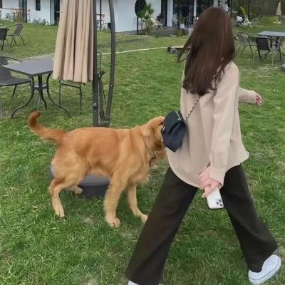 女人进城